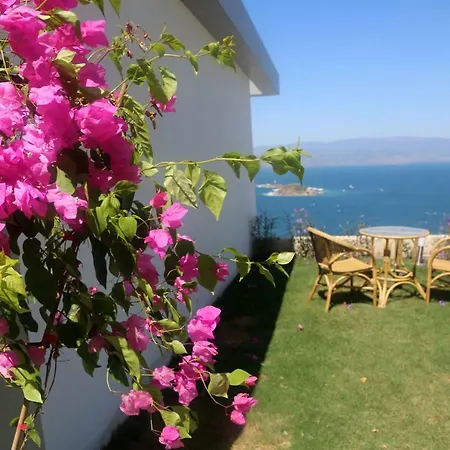 Bodrum Adabuku Luks 2+1 Ozel Plaj Ve Havuzlu *